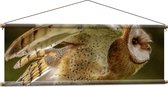 WallClassics - Affiche Textile - Hibou Volant - 120x40 cm Photo sur Textile