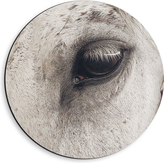 WallClassics - Dibond Muurcirkel - Oog van Witte Schimmel Paard - 40x40 cm Foto op Aluminium Muurcirkel (met ophangsysteem)