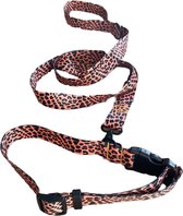 Honden Halsband met bijbehorende riem - Maat S - panter print halsband - Luipaard - Vrolijk - Halsband - Hond - Verstelbaar - Stevig - Mode - Fashion