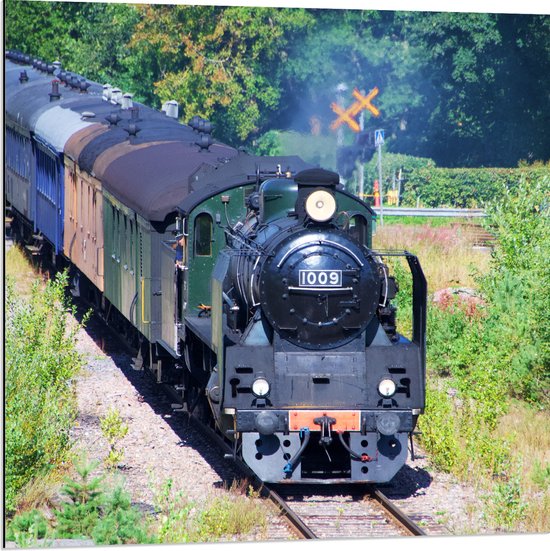 WallClassics - Dibond - Trein tussen Struiken - 80x80 cm Foto op Aluminium (Met Ophangsysteem)