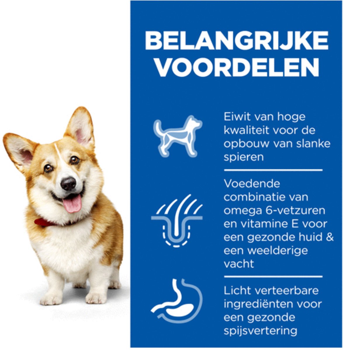 Hill's Small & Mini Kip 6kg - Voer voor kleine honden thumbnail 6