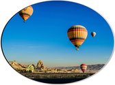 WallClassics - Dibond Ovaal - Vier Luchtballonnen in de Lucht - 40x30 cm Foto op Ovaal (Met Ophangsysteem)
