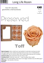Long Life Rozen - roos - gedroogde rozen - preserved roses - flowers - droogbloemen - decoratie - DIY