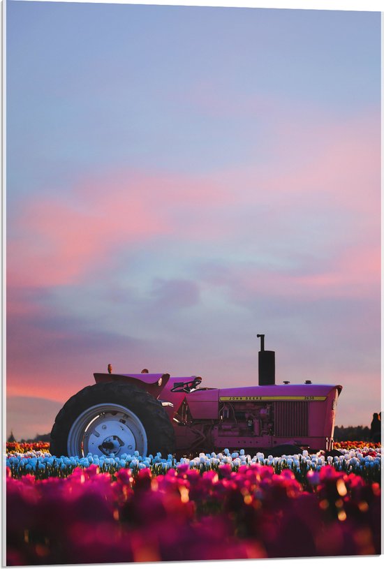 WallClassics - Acrylglas - Roze Tractor in een Bloemenveld - 60x90 cm Foto op Acrylglas (Wanddecoratie op Acrylaat)
