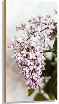 Hout - Kleine Roze met Witte Bloemen - 50x100 cm - 9 mm dik - Foto op Hout (Met Ophangsysteem)