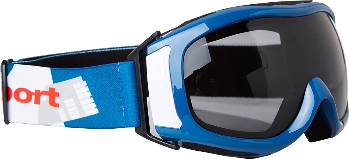 Skibril Snowboard Bril - Anti fog - Blauw, Grijze Lens - Unisex Volwassen - Wintersport