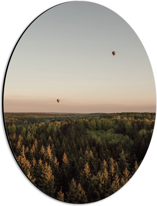 Dibond Ovaal - Luchtballonnen boven de Bossen - 30x40 cm Foto op Ovaal (Met Ophangsysteem)