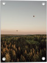 Tuinposter – Luchtballonnen boven de Bossen - 30x40 cm Foto op Tuinposter (wanddecoratie voor buiten en binnen)