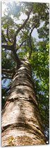 Tuinposter – Hoge Boom vanaf Kikkerpespectief - 50x150 cm Foto op Tuinposter (wanddecoratie voor buiten en binnen)