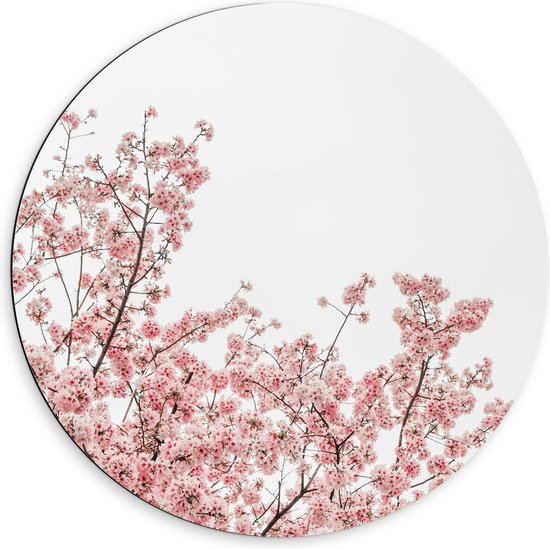 Dibond Muurcirkel - Roze Sakura - 60x60 cm Foto op Aluminium Muurcirkel (met ophangsysteem)