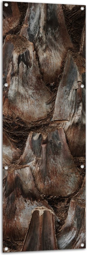 Tuinposter – Schors van Palmboom - 50x150 cm Foto op Tuinposter (wanddecoratie voor buiten en binnen)