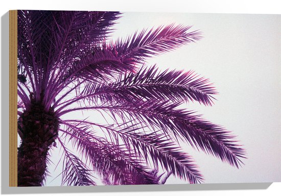 Hout - Palmboom met Paarse Gloed - 60x40 cm - 9 mm dik - Foto op Hout (Met Ophangsysteem)