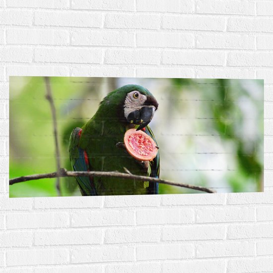 WallClassics - Muursticker - Exotische Groene Vogel met Vrucht - Dwergara - 100x50 cm Foto op Muursticker