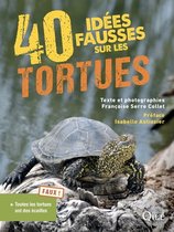 Idées fausses - 40 idées fausses sur les tortues