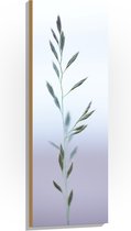 WallClassics - Hout - Dunne Groene Tak in Mist - 40x120 cm - 9 mm dik - Foto op Hout (Met Ophangsysteem)