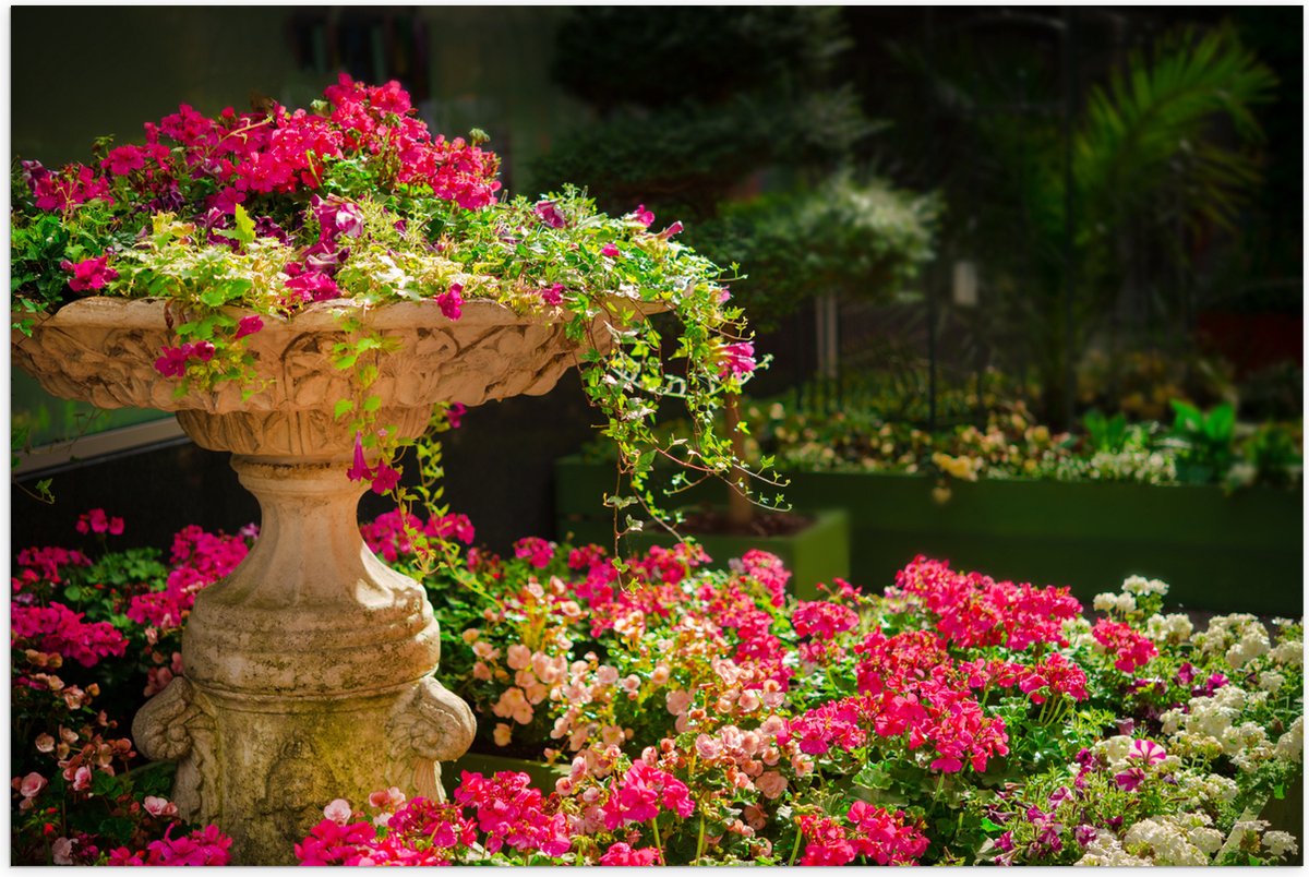 Poster Glanzend – Felroze Bloemen uit Fontein - 105x70 cm Foto op Posterpapier met Glanzen