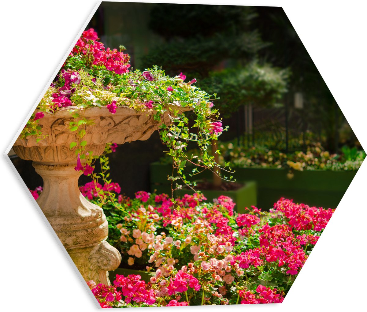 PVC Schuimplaat Hexagon - Felroze Bloemen uit Fontein - 40x34.8 cm Foto op Hexagon (Met Op
