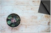 Inductie beschermer 76x51,5 - afdekplaat inductie mat - Dietrix Kookplaat beschermer - Exclusief - Bloemen en Planten - Cactus op hout