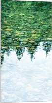Acrylglas - Stenen in het Water weerspiegelende Bomen - 50x100 cm Foto op Acrylglas (Met Ophangsysteem)