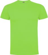 Oasis Groen 2 pack t-shirts Roly Dogo maat 4 98 – 104