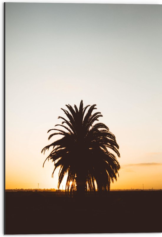 WallClassics - Dibond - Silhouet van Palmboom met Lange Bladeren - 50x75 cm Foto op Aluminium (Met Ophangsysteem)