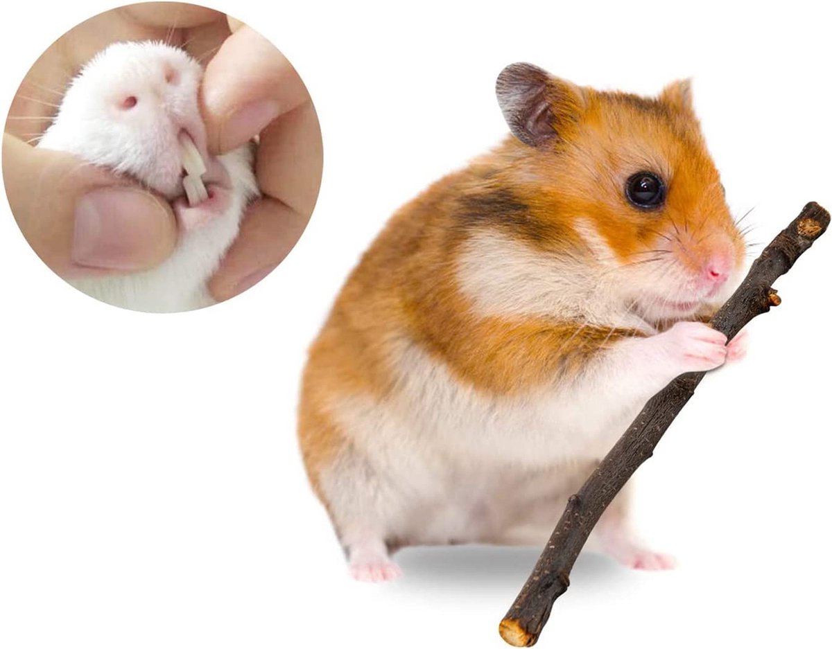 Hamster Accessoires En Speelgoed Konijn Speelgoed Hamster Houten Hamster Speelgoed Hamster Zand Cavia Speelgoed Hamster Klimmen Speelgoed 15cm