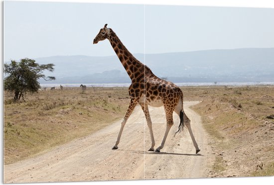 Acrylglas - Giraffe op de Weg in Kenia - 120x80 cm Foto op Acrylglas (Wanddecoratie op Acrylaat)