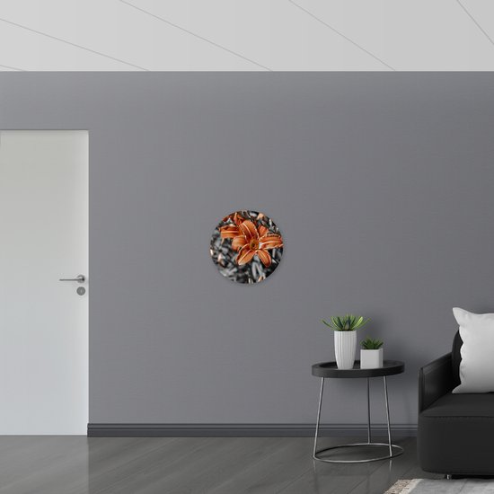 WallClassics - Muursticker Cercle - Lys coloré d'automne sur branches grises - 50x50 cm Photo sur Muursticker
