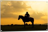 Tuinposter – Silhouet van Cowboy op zijn Paard tijdens Mooie Zomerse Zonsondergang - 105x70 cm Foto op Tuinposter (wanddecoratie voor buiten en binnen)