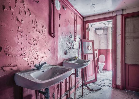 Ravensburger puzzel Pink Dreams - Legpuzzel - 1000 stukjes