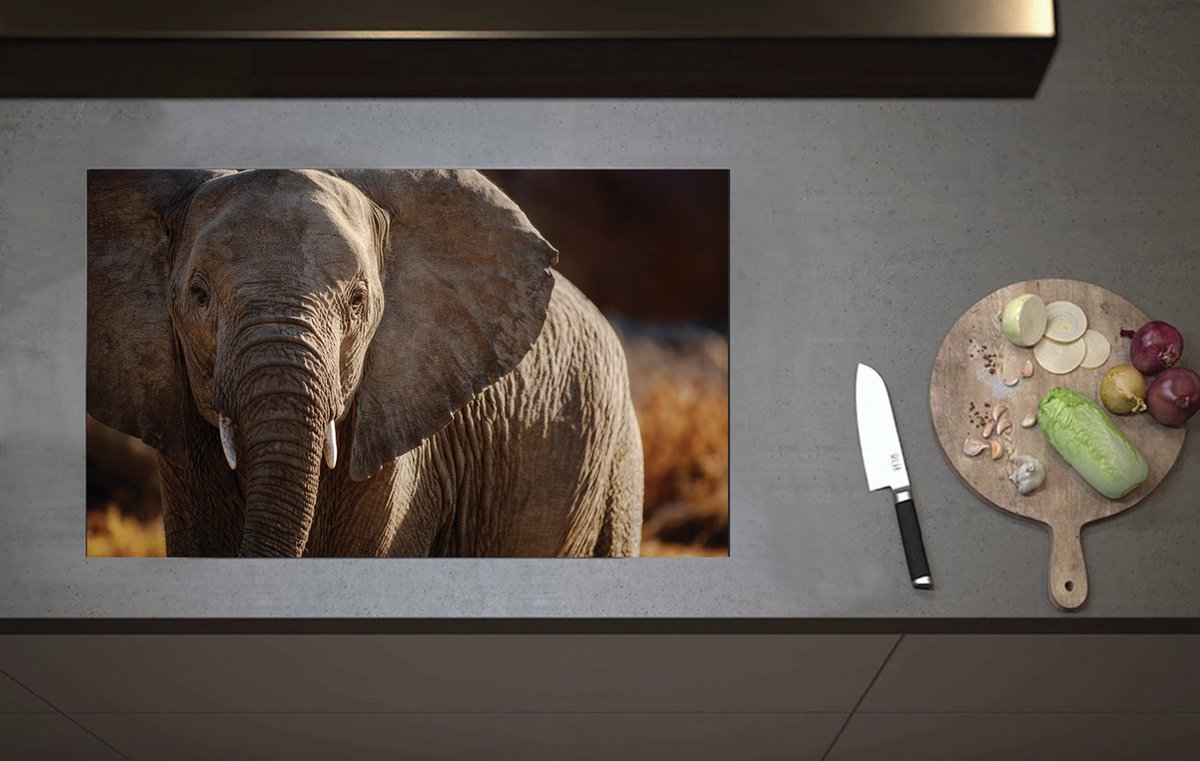 Inductieplaat Beschermer - Olifantenjong met Kleine Slagtanden - 80x52 cm - 2 mm Dik - Inductie Beschermer van Vinyl