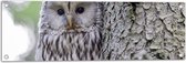 Tuinposter – ural-owl-4813502 - 90x30 cm Foto op Tuinposter (wanddecoratie voor buiten en binnen)