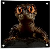 Tuinposter – Krokodil met Angstaanjagende Rode Ogen tegen Zwarte Achtergrond - 50x50 cm Foto op Tuinposter (wanddecoratie voor buiten en binnen)