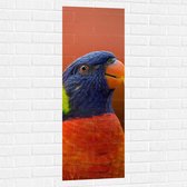 WallClassics - Muursticker - Blijkijkende Papegaai met Felle Kleuren - 40x120 cm Foto op Muursticker