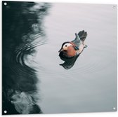Tuinposter – Mandarijneend Dobberend in het Kalme Water - 100x100 cm Foto op Tuinposter (wanddecoratie voor buiten en binnen)