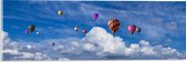 WallClassics - Acrylglas - Groepje Gekleurde Luchtballonnen bij Wolken in Blauwe Lucht - 60x20 cm Foto op Acrylglas (Wanddecoratie op Acrylaat)