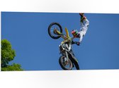 WallClassics - PVC Schuimplaat - Freestyle Motocross boven Boom - 100x50 cm Foto op PVC Schuimplaat (Met Ophangsysteem)