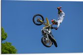 WallClassics - Dibond - Freestyle Motocross boven Boom - 75x50 cm Foto op Aluminium (Wanddecoratie van metaal)