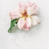 Poster Glanzend – Schilderij van Wit met Roze Bloem op Witte Gevlekte Achtergrond - 50x50 cm Foto op Posterpapier met Glanzende Afwerking