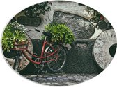 WallClassics - PVC Schuimplaat Ovaal - Rode Fiets versierd met Planten tegen Stenen Muur - 80x60 cm Foto op Ovaal (Met Ophangsysteem)