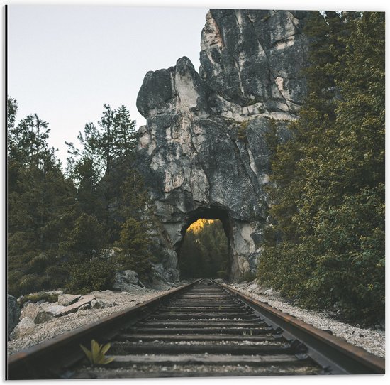 Dibond - Treinspoor Naar Tunnel in een Berg - 50x50 cm Foto op Aluminium (Wanddecoratie van metaal)