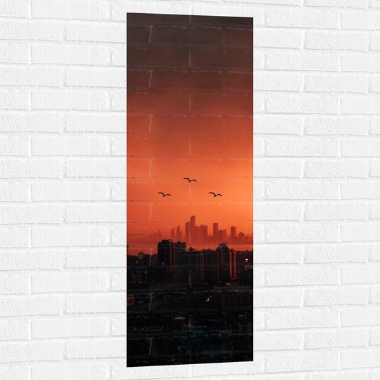 WallClassics - Muursticker - Trio vogels boven Gebouwen in de Stad - 40x120 cm Foto op Muursticker