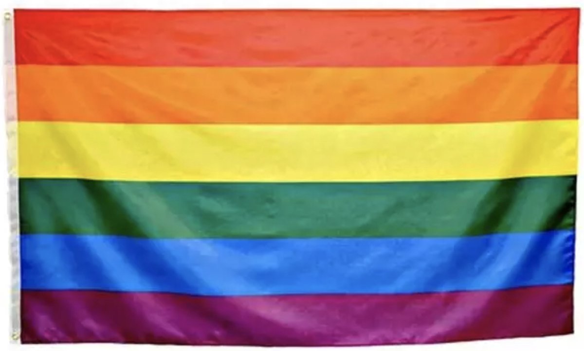 Petits Drapeaux LGBT (x10)