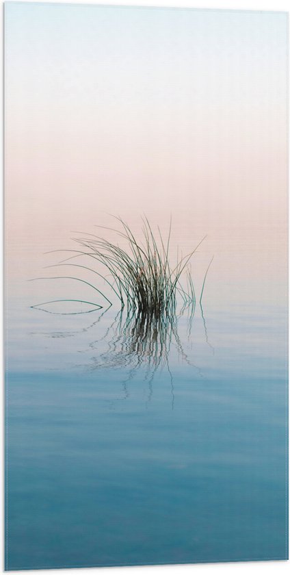Vlag - Gras Plant in het Water - 50x100 cm Foto op Polyester Vlag