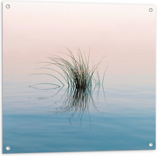 Tuinposter – Gras Plant in het Water - 80x80 cm Foto op Tuinposter (wanddecoratie voor buiten en binnen)