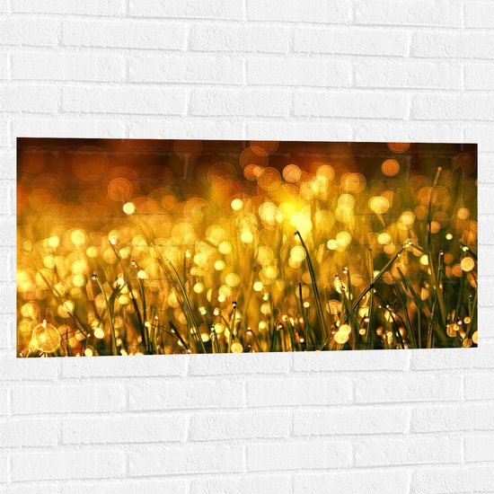 Muursticker - Gras met Gouden Waterdruppels - 100x50 cm Foto op Muursticker