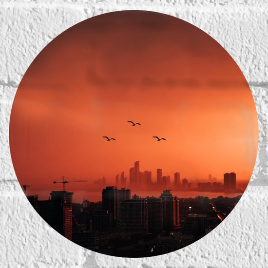 WallClassics - Muursticker Cirkel - Trio vogels boven Gebouwen in de Stad - 20x20 cm Foto op Muursticker