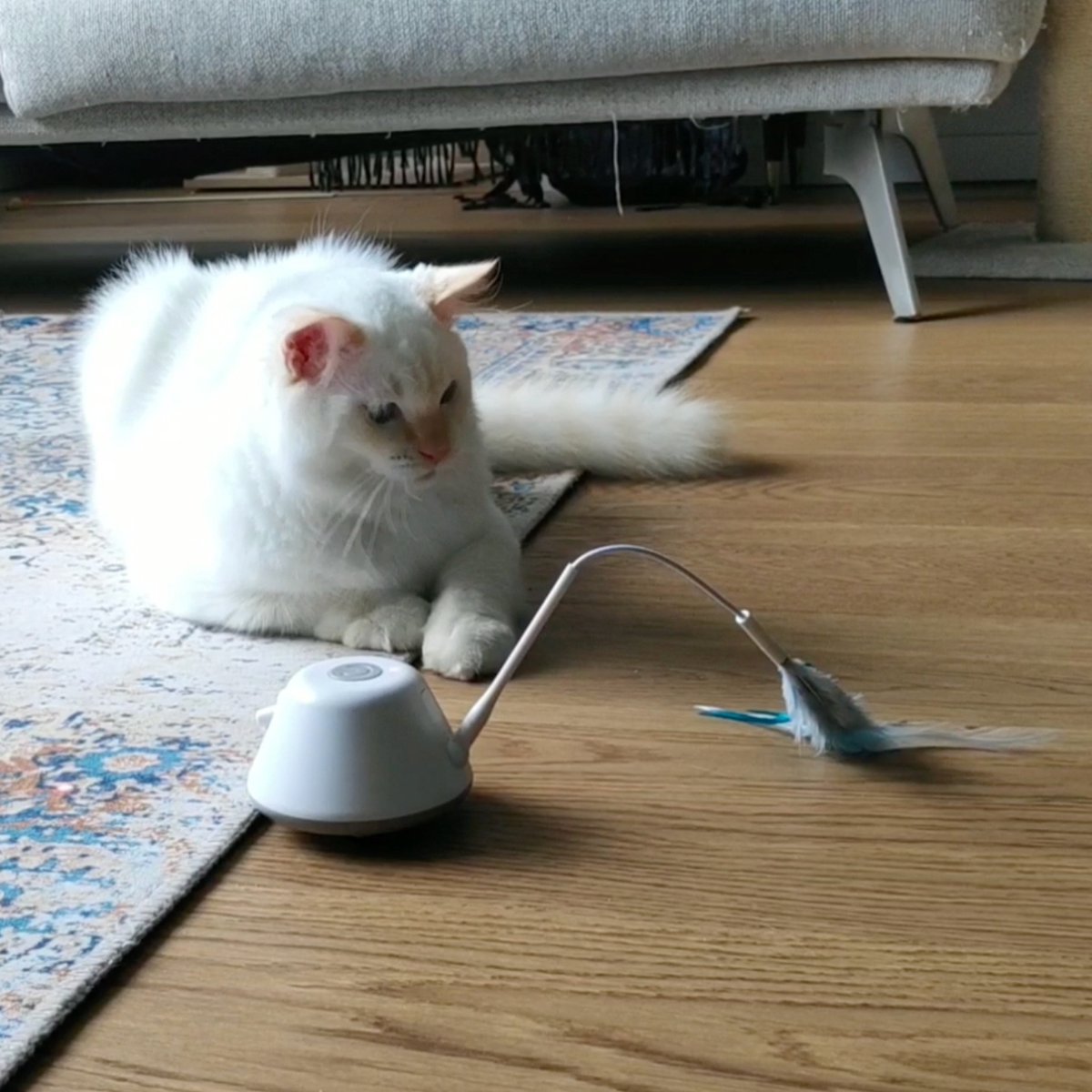 A-Motions Veren en Lint voor Filo Rijdend en Hangend Kattenspeelgoed met Laser thumbnail 3