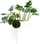 Greenmoods Kunstplanten - Kunstplanten - Kunst hangplant Monstera Deluxe - Zijde - 80 cm