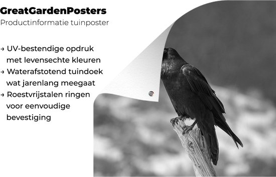 Affiche jardin - Toile Posters de jardin extérieur - Un corbeau noir sur une branche cassée - noir et blanc - 80x120 cm - Jardin